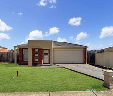 Light-filled 3-bedroom home with two living areas and a large backyard - Photo 1