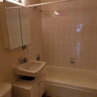 One big unit w/ 1ba & 1br on W12/Oak $1850/month - Photo 4