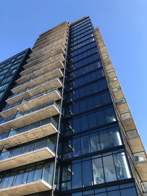 Bachelor Unit at River Landing Downtown - Photo 1