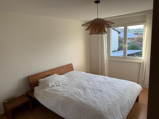 3-ROOM APARTMENT IN DIETWIL (AG), FURNISHED, TEMPORARY - Photo 1