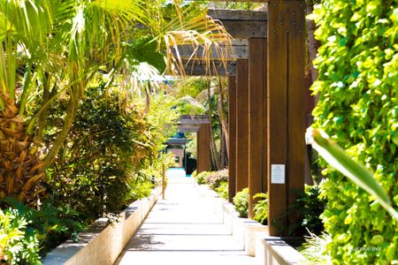 1106b/5 Pope Street, Ryde NSW 2112 - Apartment For Rent | Domain - Photo 4