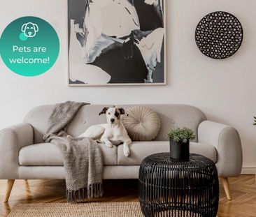 1 bedroom apartment to rent - Photo 4