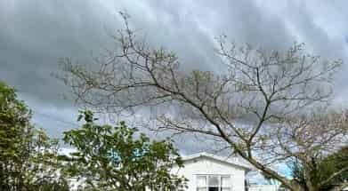 Comfortable 3-Bedroom Home! - Photo 3