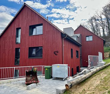 2.5 Zimmerwohnung in Wasterkingen - Foto 1