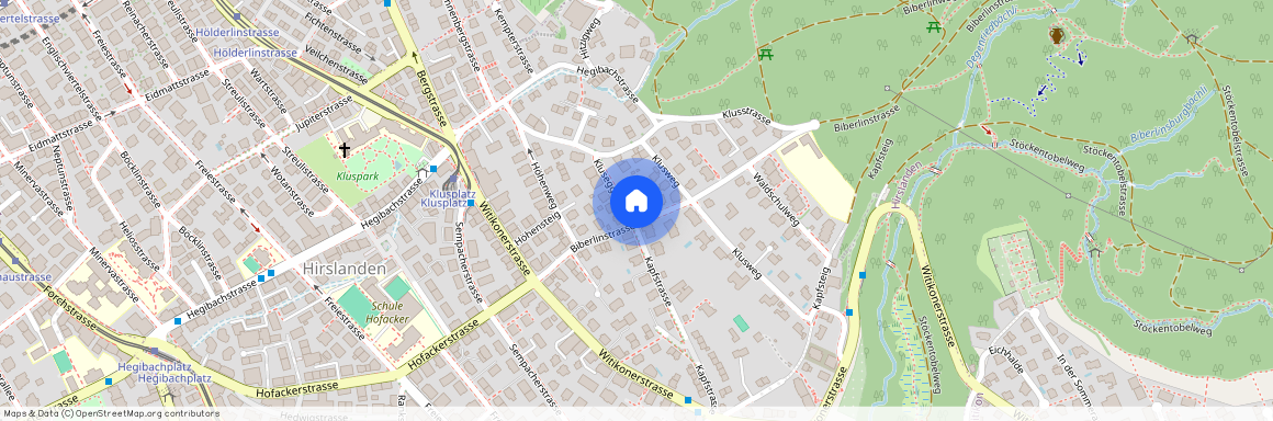 8032, Zürich, Kluseggstrasse, 17