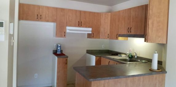 Logement 4.5 (rénové) - Photo 2