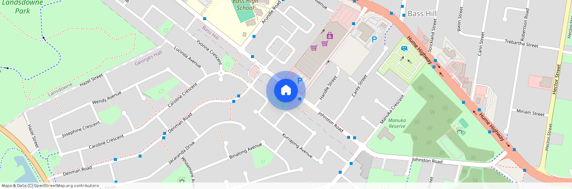 103A Johnson Road, Bass Hill, NSW 2197