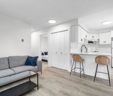 For Lease - 77 Lancaster Street, Kitchener, Ontario - Photo 6