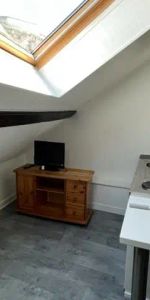 Appartement à louer 1 pièce 15.6m² - Photo 3