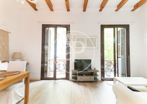 Furnished apartment for rent with views of the Sagrada Familia
