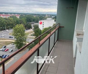 Pronájem bytu 1+kk Pardubice - Stavařov - Fotografie 4
