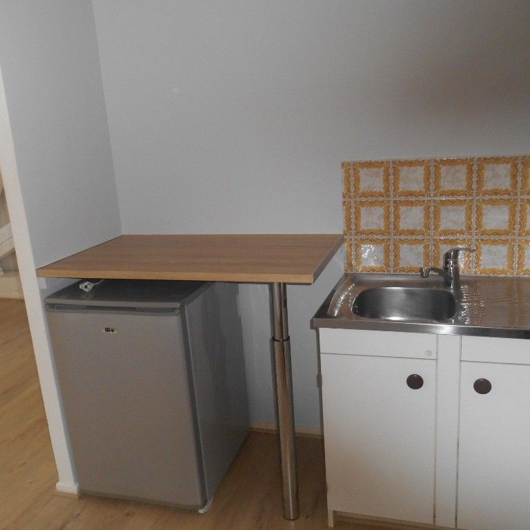 Location Appartement 1 pièce 19m² NANCY 54000 - Photo 1