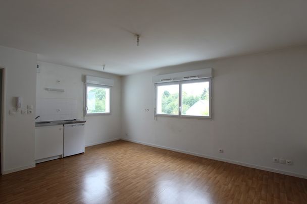 Location Appartement 1 pièce 29m² NANTES 44300 - Photo 1