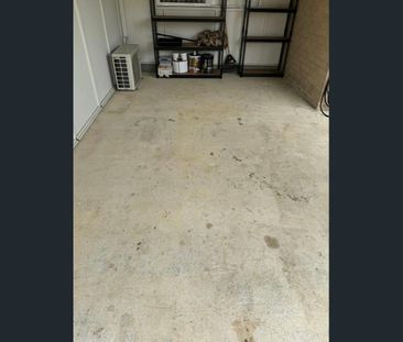 Peaceful 2 Bedroom Home Backing Onto Nature Park - Pet Friendly - Photo 3