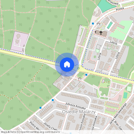 ul. Aleja Wojska Polskiego, Osiedle Łużyckie, Centrum, Zielona Góra, lubuskie