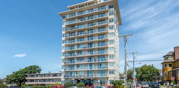 Seaview Towers - Bachelor - Available March 1st - Photo 2