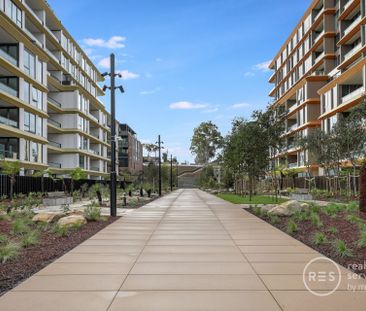 402/24 Artarmon Road, Willoughby NSW 2068 - Apartment For Rent | Do... - Photo 3