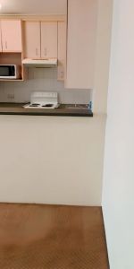 301 Anzac Parade, Sydney - Photo 4