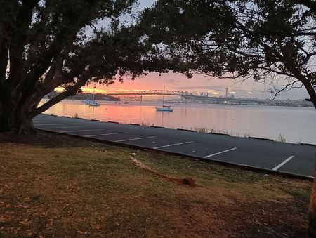 Charming 2BR Birkenhead Point - Photo 3