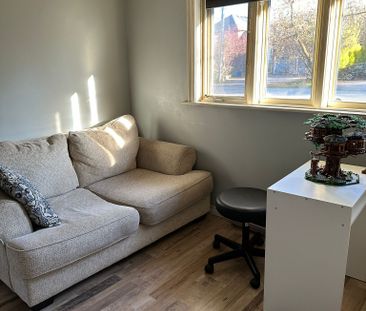 For Lease - 46 Elm Grove Avenue, Richmond Hill, Ontario - Photo 4