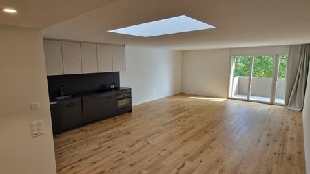 Schöne Singlewohnung in Küsnacht - Photo 2