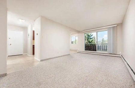Oasis at Terra Vista — 1 Bed 1 Bath - Photo 4
