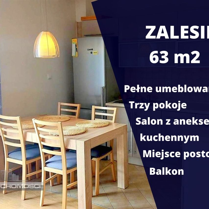 Rzeszów, Zalesie, Forsycji - Zdjęcie 1