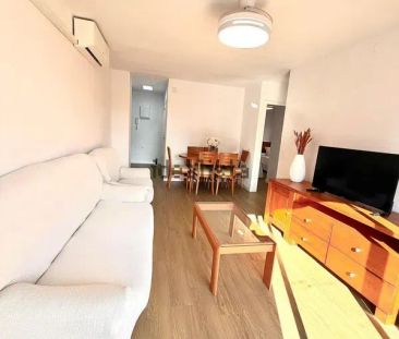 Alquiler de piso en Punta Prima - Photo 3
