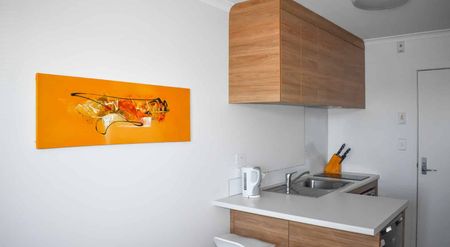 Luxury Studio Short Term Lease - Photo 3