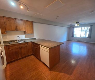 1 Bedroom at Old Yale Heights! - Photo 4