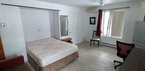 grande chambre avec un bureau - Photo 2