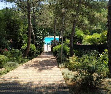 Coquet studio meublé à l'année - Photo 4