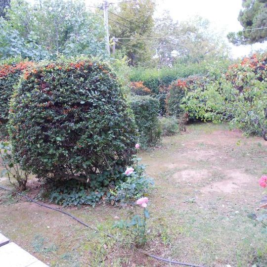 Διαμέρισμα για ενοικίαση Αγία Κυριακή (Κηφισιά) - Photo 1
