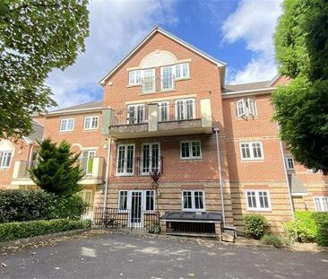 Town Centre, Basingstoke, RG21 - Photo 3