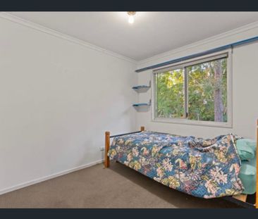 Spacious 3-bedroom, 1-bathroom Family Living in a Prime Kingston Lo... - Photo 5