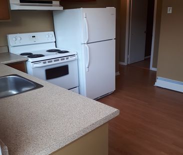 3 1/2 Secteur Universitaire - Photo 3