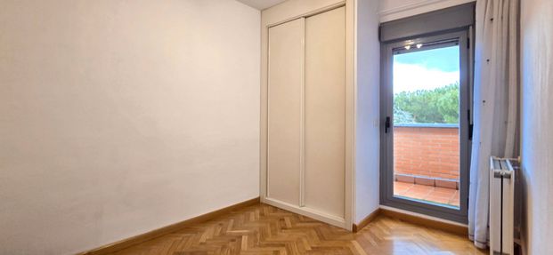 Dúplex de alquiler en Paseo Joaquin Ruiz Gimenez, 8, Casco Antiguo - Photo 1