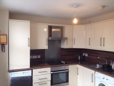 Elaine Street, Stranmillis, Belfast - Photo 3