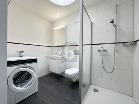 DIRECT LIFT ACCESS WITH LARGE TERRACES - Photo 5