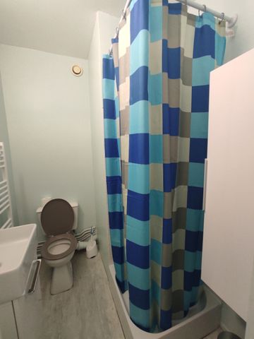 T1 MEUBLÉ PROCHE CHU ET FAC DES LETTRES - Photo 5