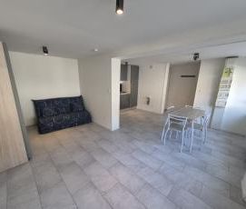 Location Appartement 1 pièce 29m² ANICHE 59580 - Photo 4