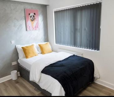 Newly Renovated Ensuite rooms - - Photo 2