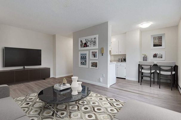 Renovated Suite - 1 Bedroom - Photo 1