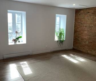 New bright spacious 4 1/2 near Downtown CHUM - Photo 4