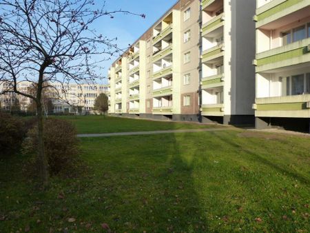 Immobilien - Foto 3