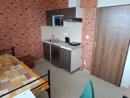 Pronájem bytu 1+kk a garsoniéry 19 m² - Photo 3