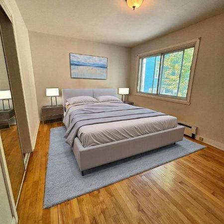1 CH - 1 SDB - Montréal - $1,250 /mo - Photo 4