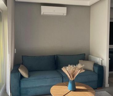 Legnica, ul. Żołnierska - Zdjęcie 2