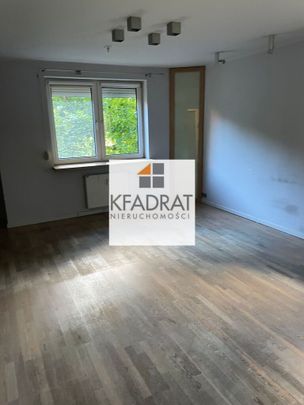 ZACHODNIOPOMORSKIE, BUKOWE, Seledynowa, Szczecin - Zdjęcie 1