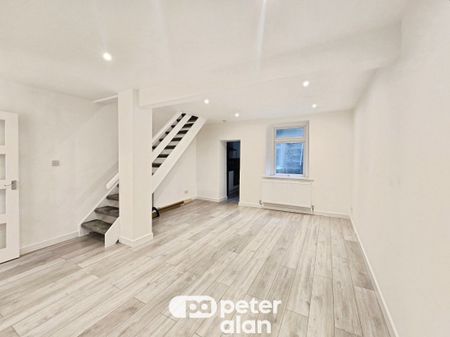 Jones Terrace, SWANSEA - Photo 5